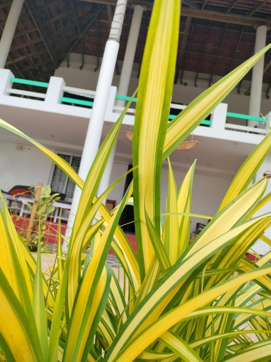 Homestay Marari Praise Beachfront *